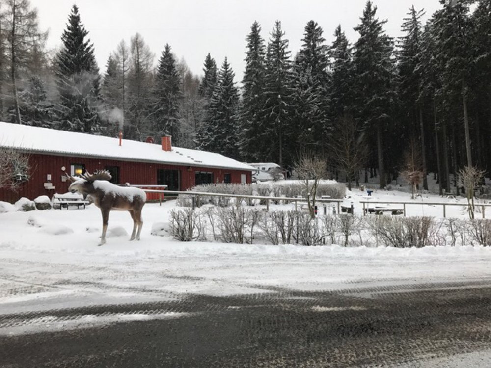 Stellplatz Harz-Camping