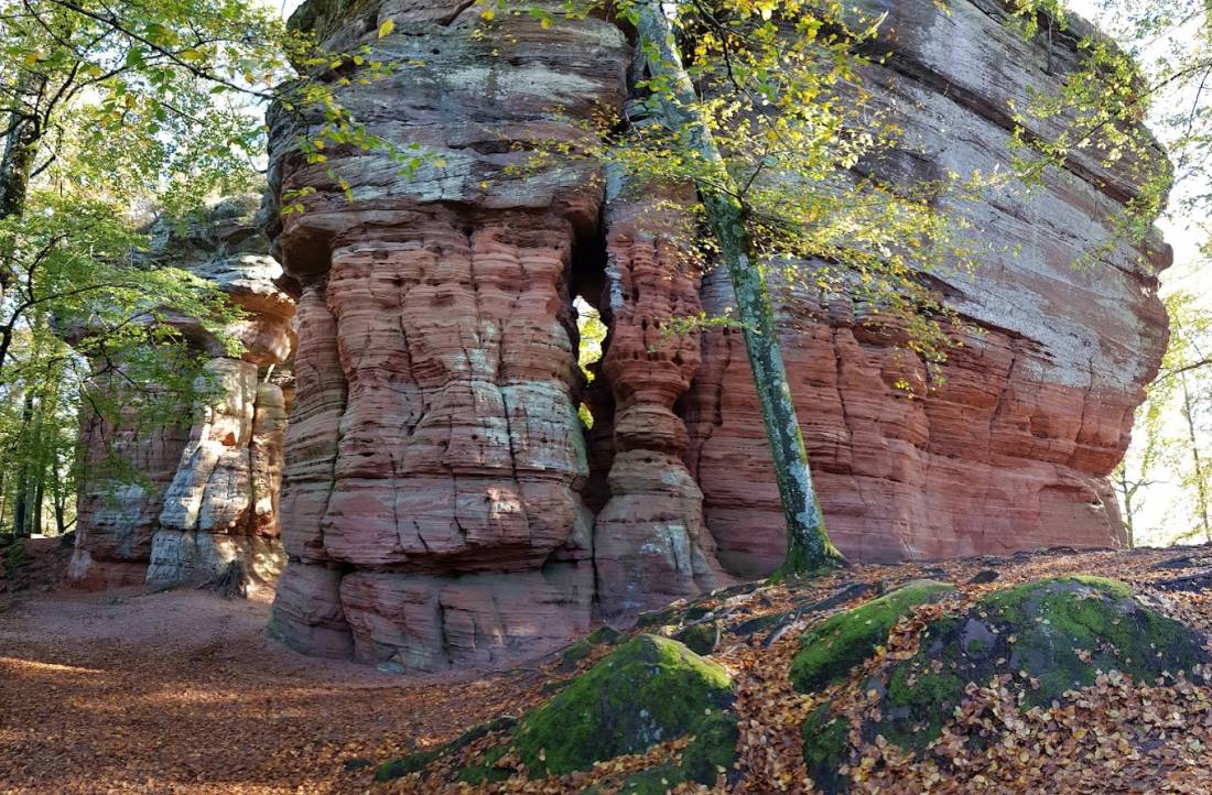 Stellplatz Neudorfstrasse