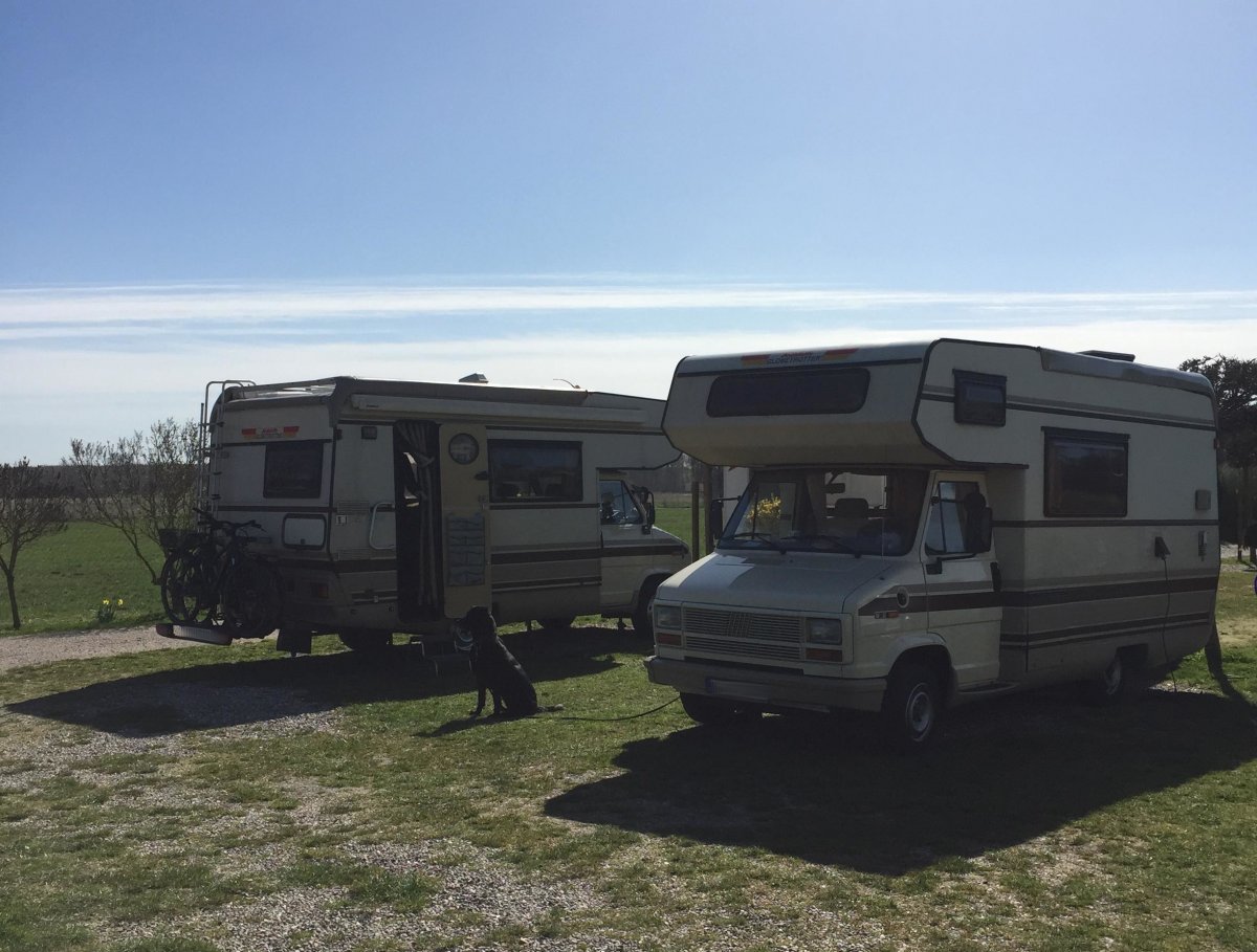 Krämers Wohnmobilhafen Boltenhagen — Photo 5