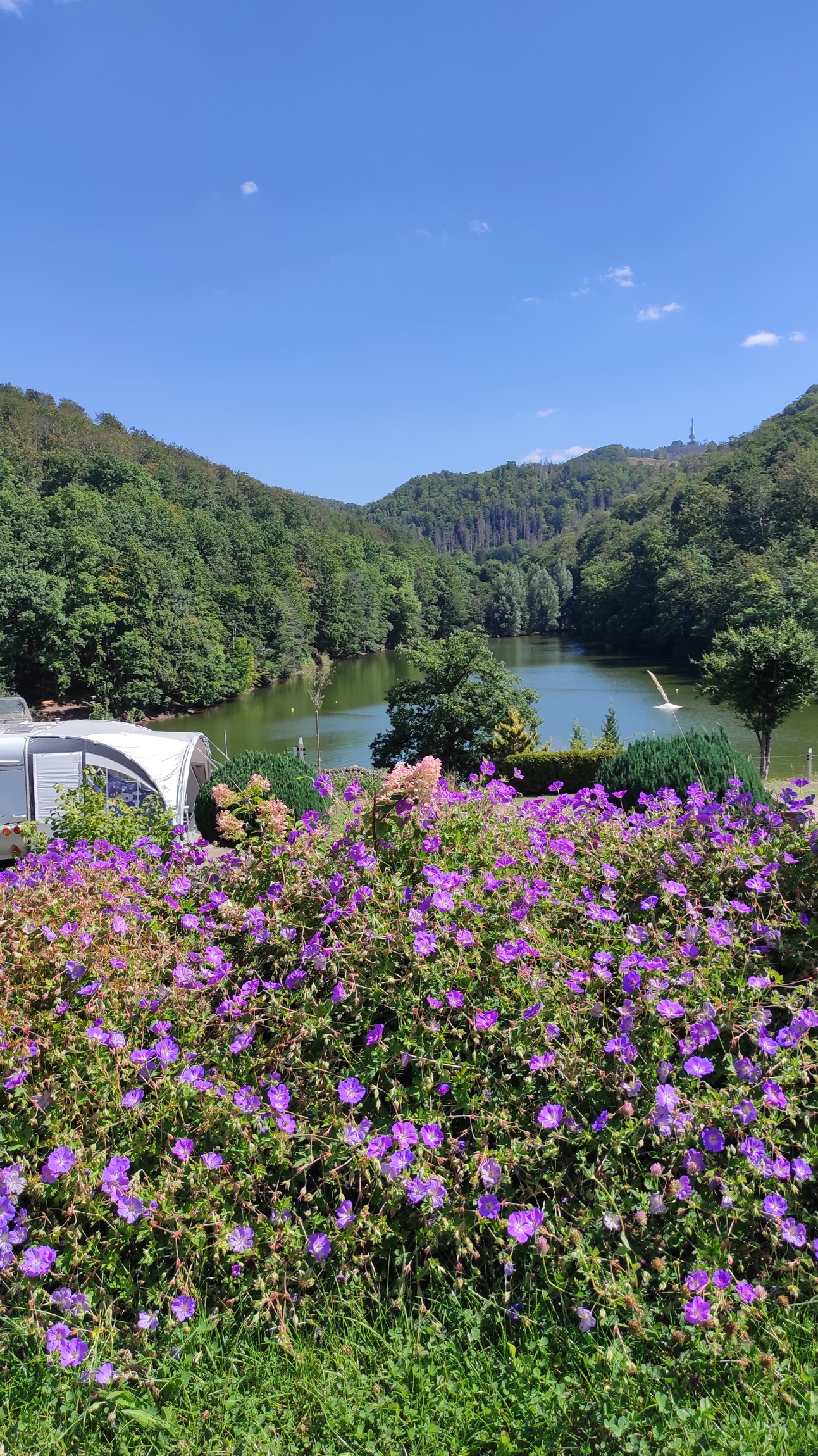 Stellplatz Campingpark Wiesenbeker Teich — Photo 2