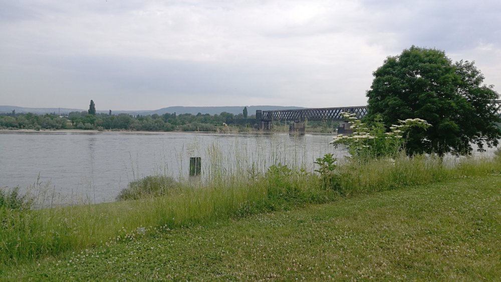 Wohnmobilhafen Urmitz — Photo 5