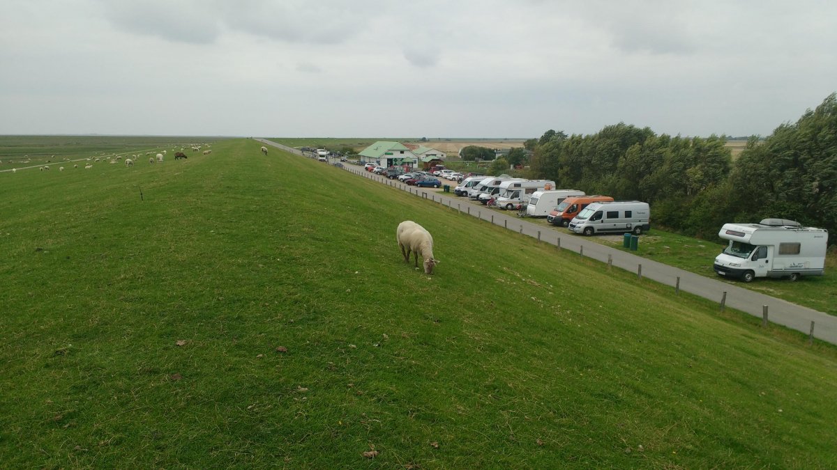 Amsinck-Haus — Photo 2