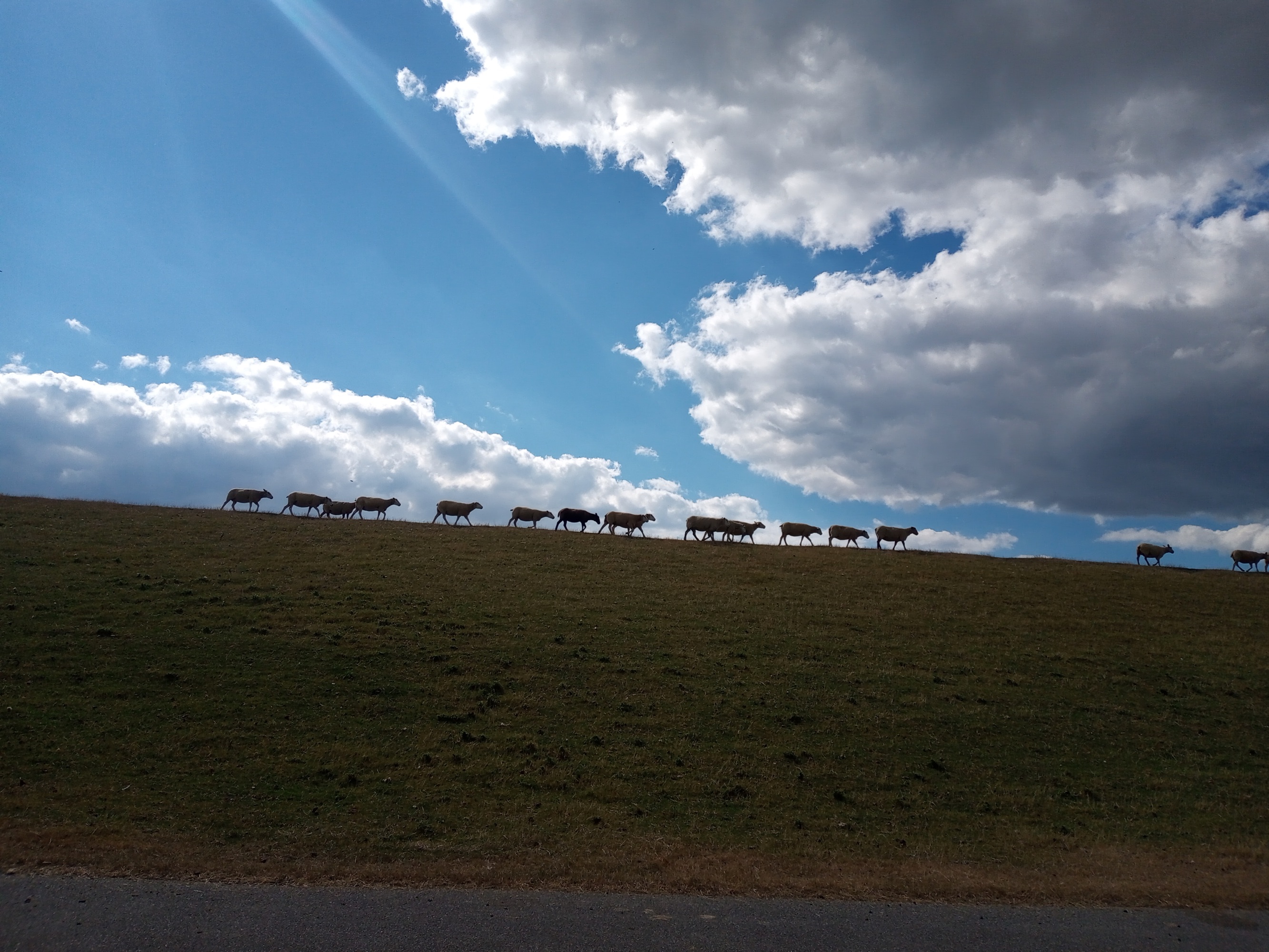 Amsinck-Haus — Photo 4