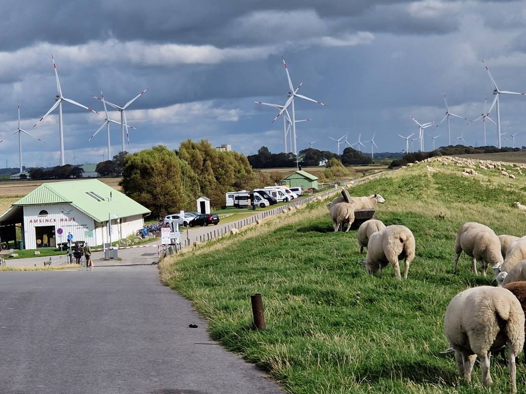 Amsinck-Haus — Photo 6