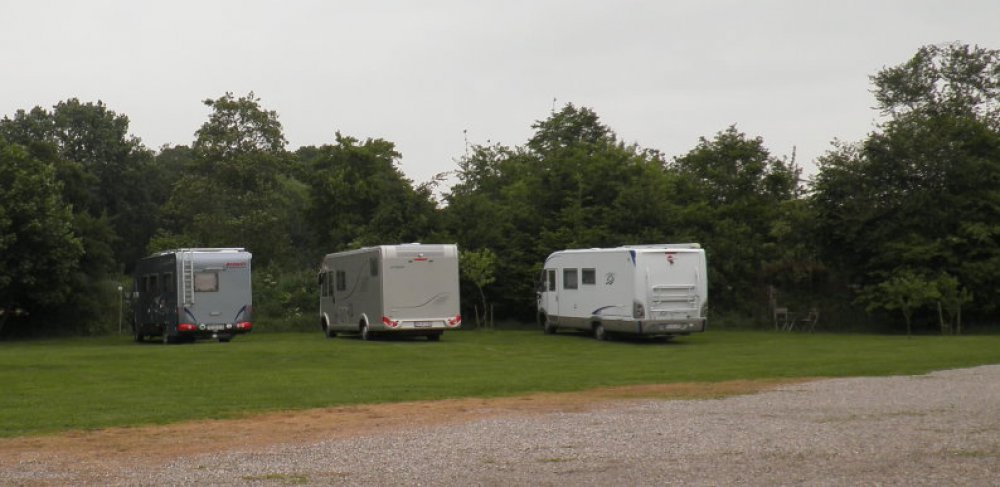 Rosenhof-Hohn — Photo 2