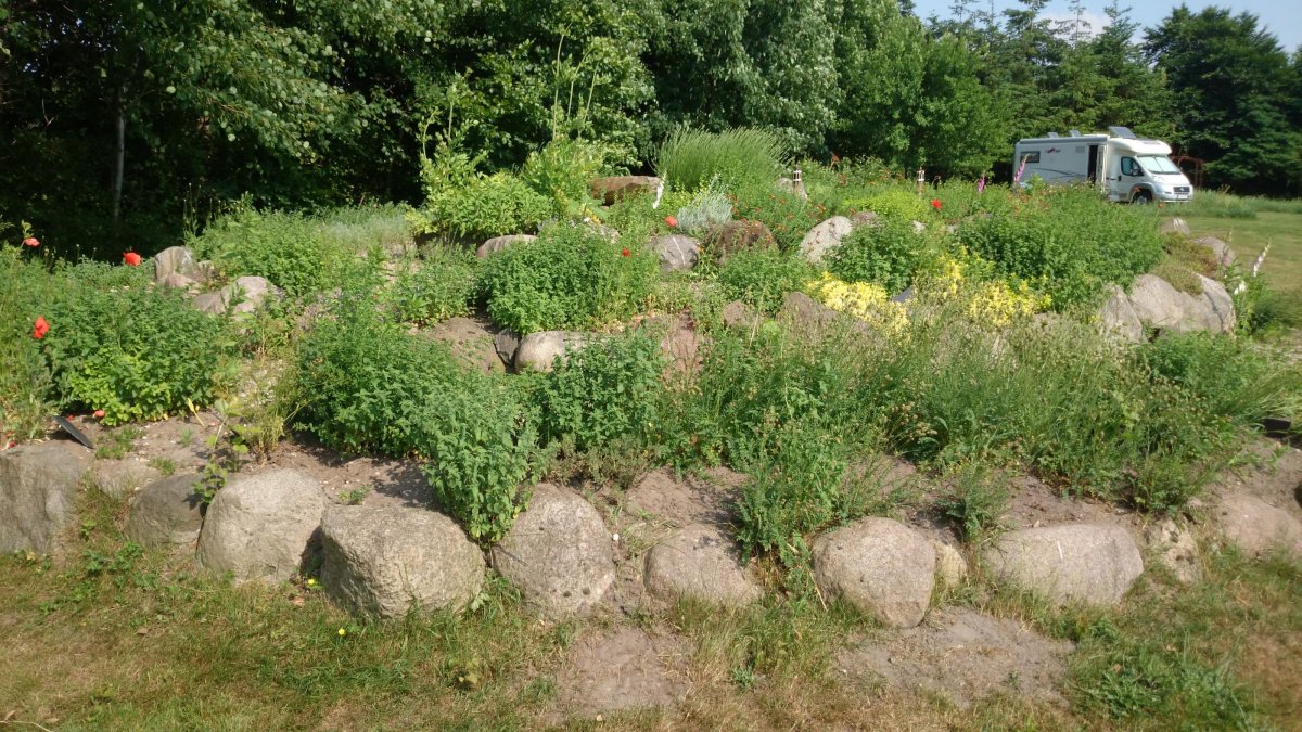 Rosenhof-Hohn — Photo 4