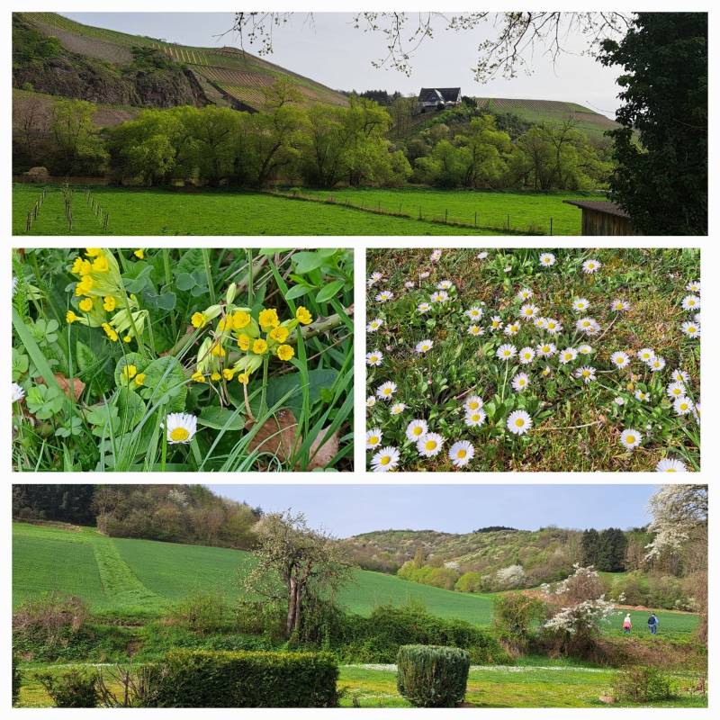 Campingplatz Nahetal — Photo 6