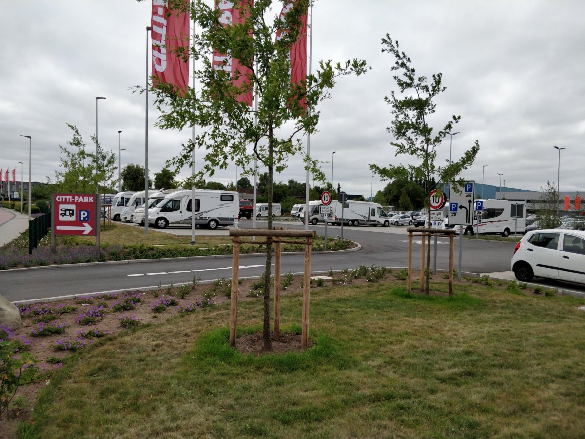 Citti Markt Flensburg — Photo 2