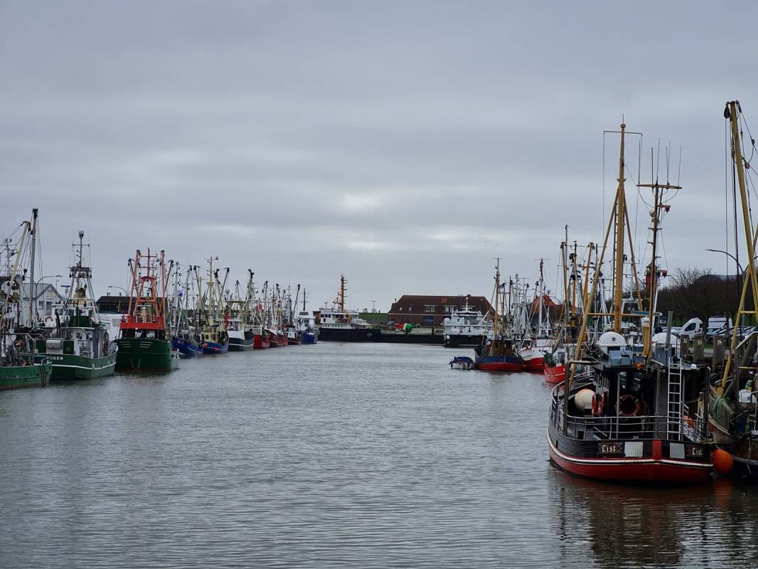 Stellplatz Büsum — Stellplatz in Büsum