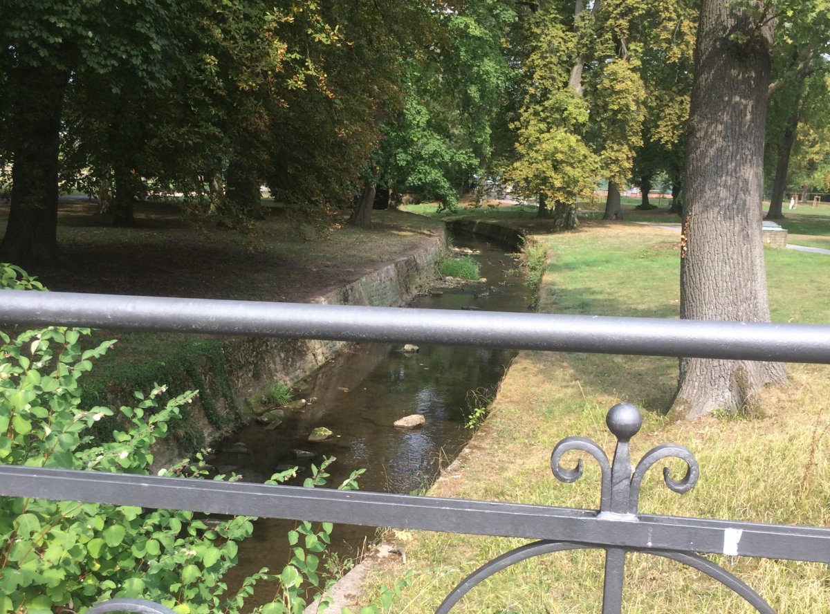 Stellplatz Bad Eilsen — Photo 2