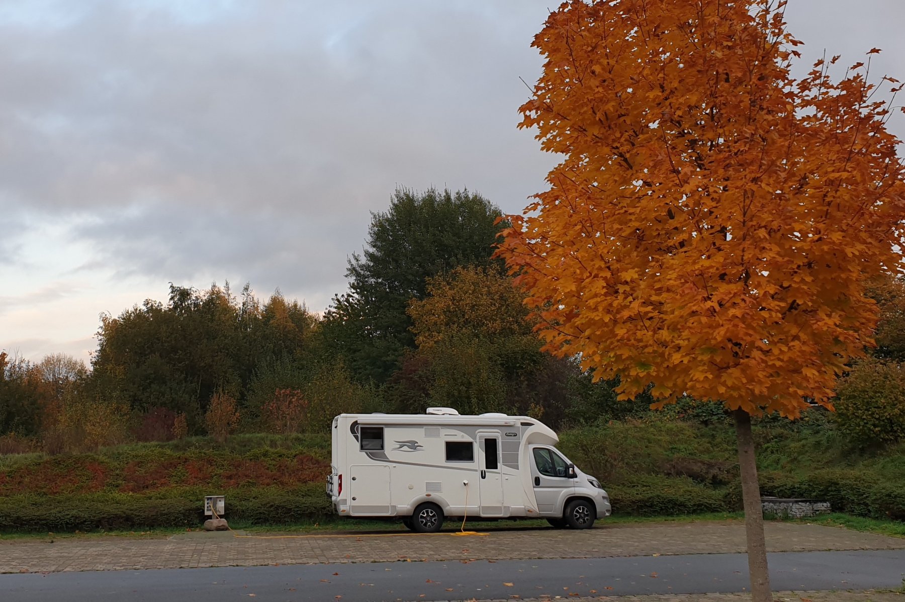Stellplatz Preußisch  Oldendorf  Bad Holzhausen — Photo 3