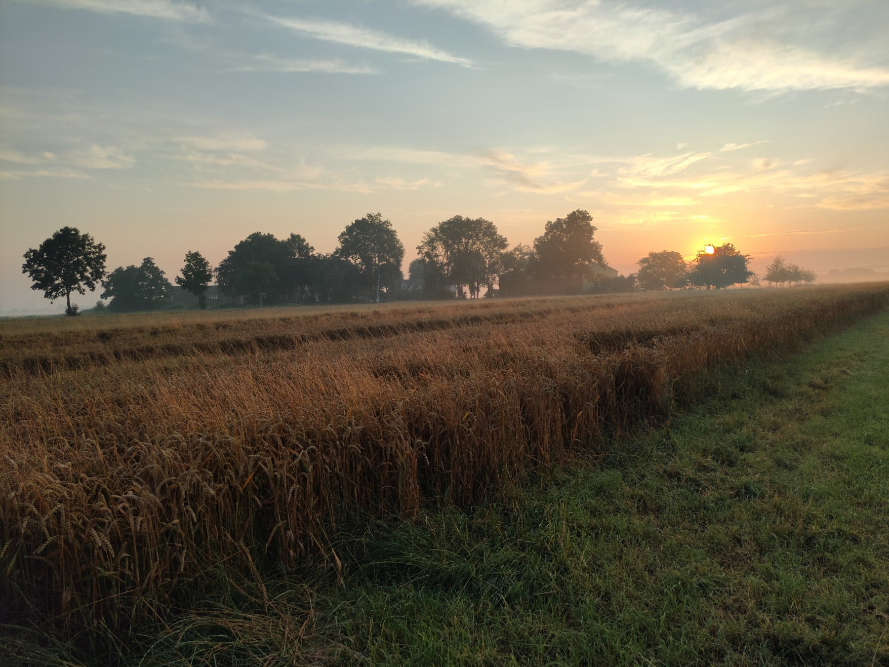 Stellplatz Hodorf — Photo 4