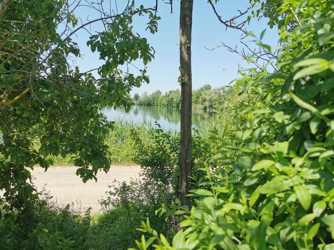 Stellplatz Grafenrheinfeld — Photo 6