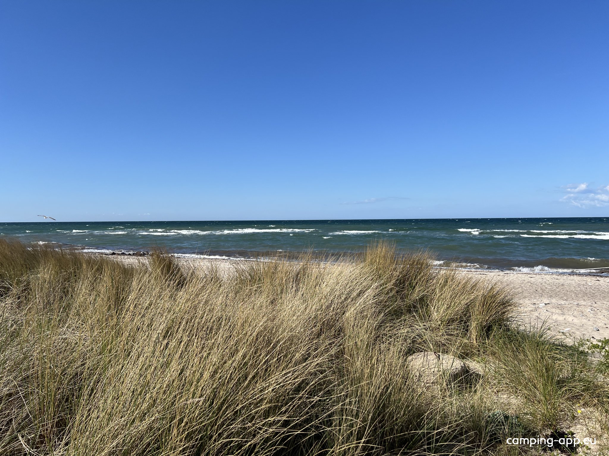 Stellplatz Campingpark Waldesruh Behrensdorf — Photo 3