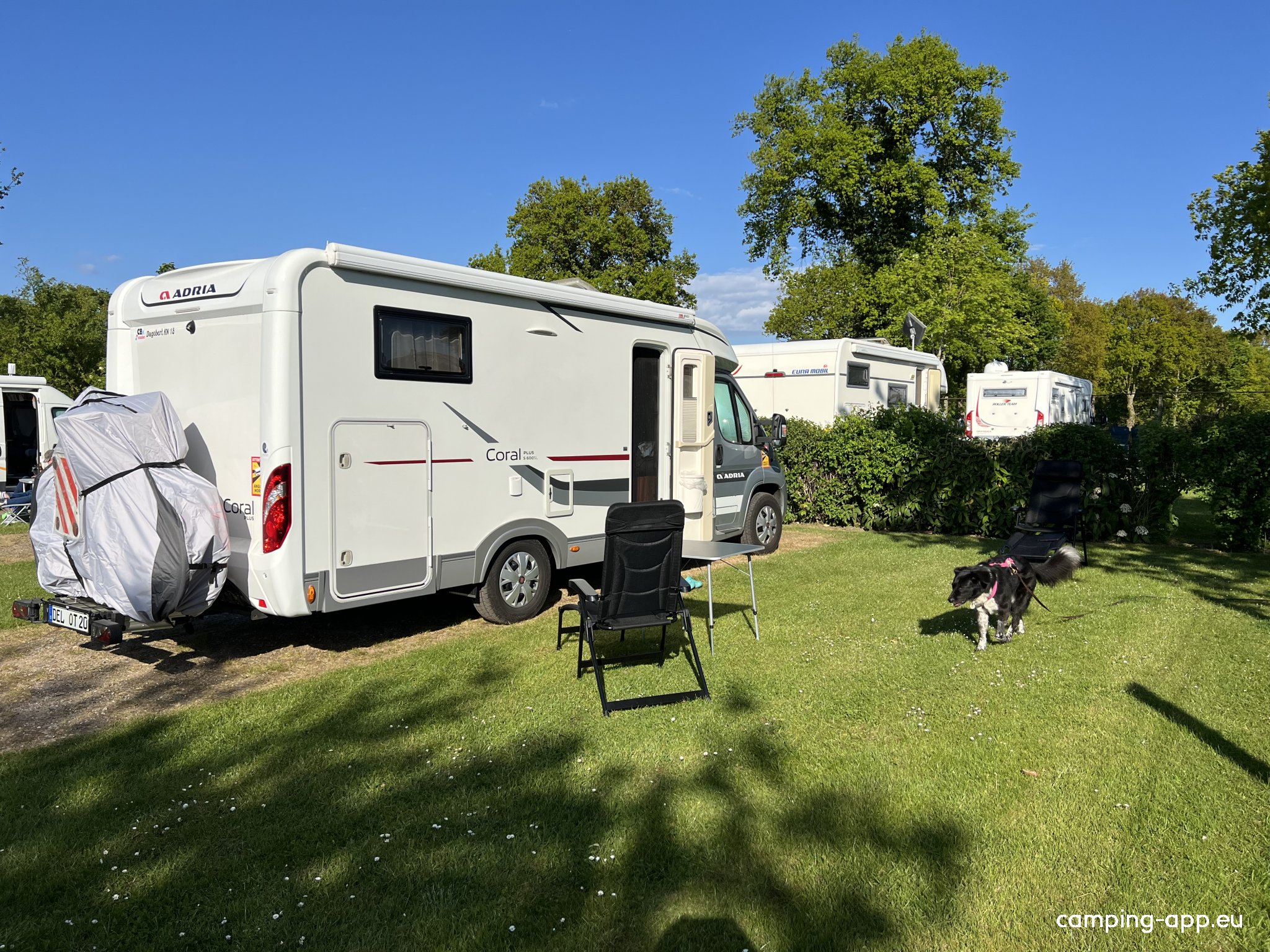 Stellplatz Campingpark Waldesruh Behrensdorf — Photo 2