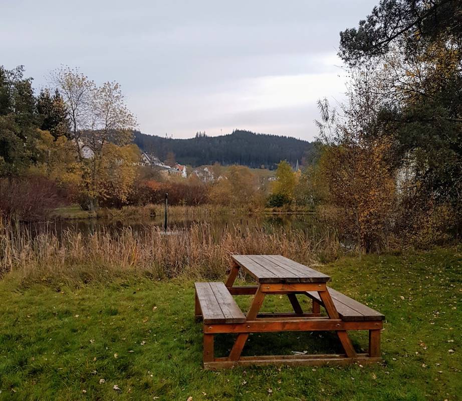 Stellplatz Vöhrenbach