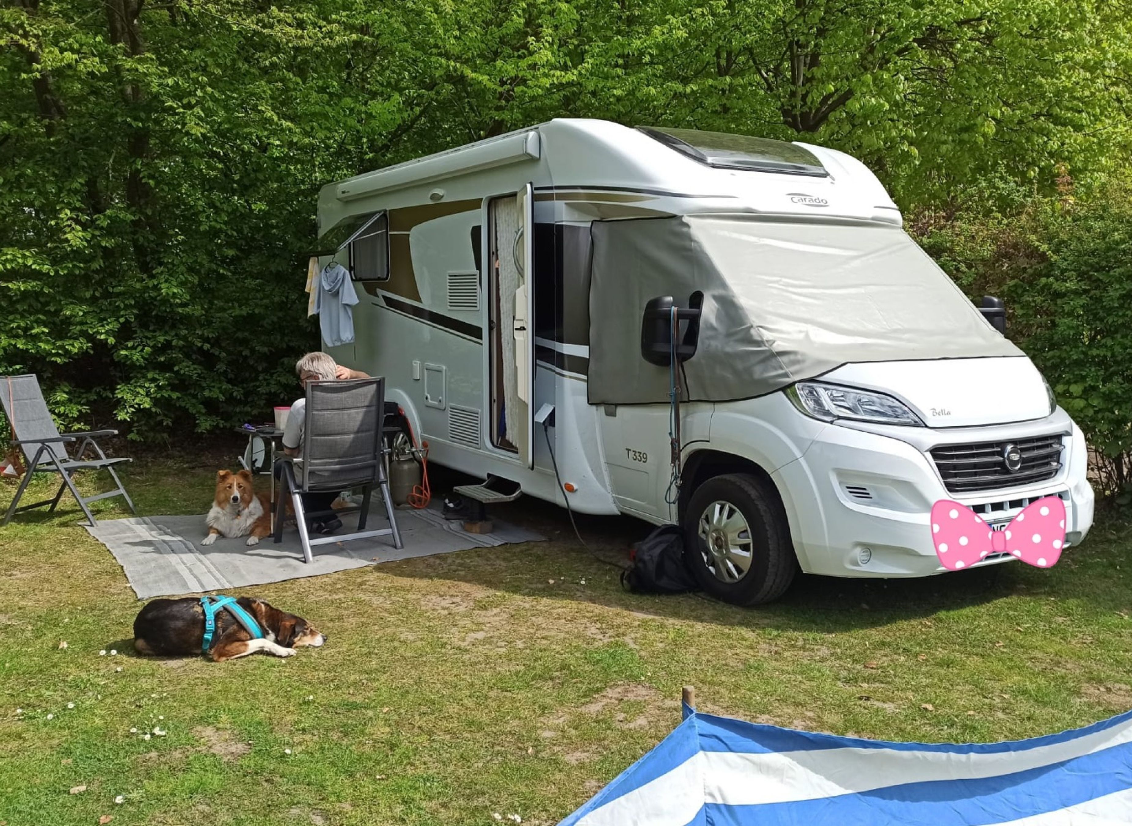 Naturcampingplatz Wrohe am Westensee