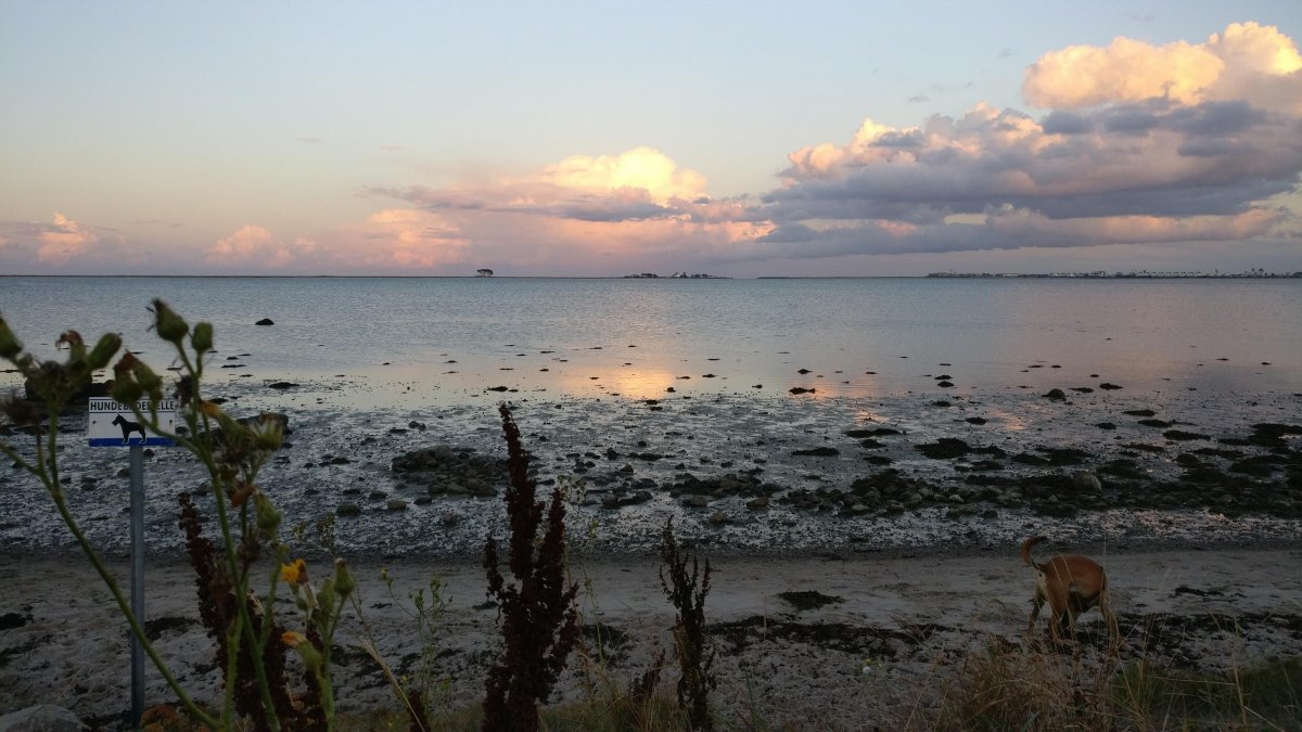 Yachthafen Maasholm — Photo 4