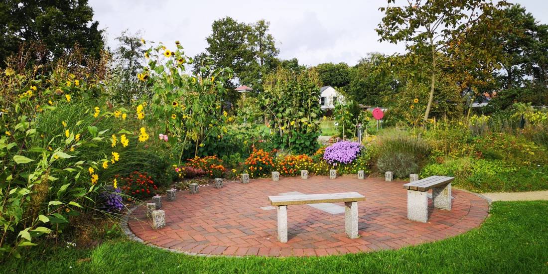 Stellplatz Nienhagen — Photo 2