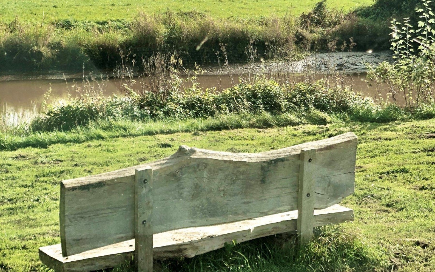 Reisemobilpark Sagter-Ems — Photo 4