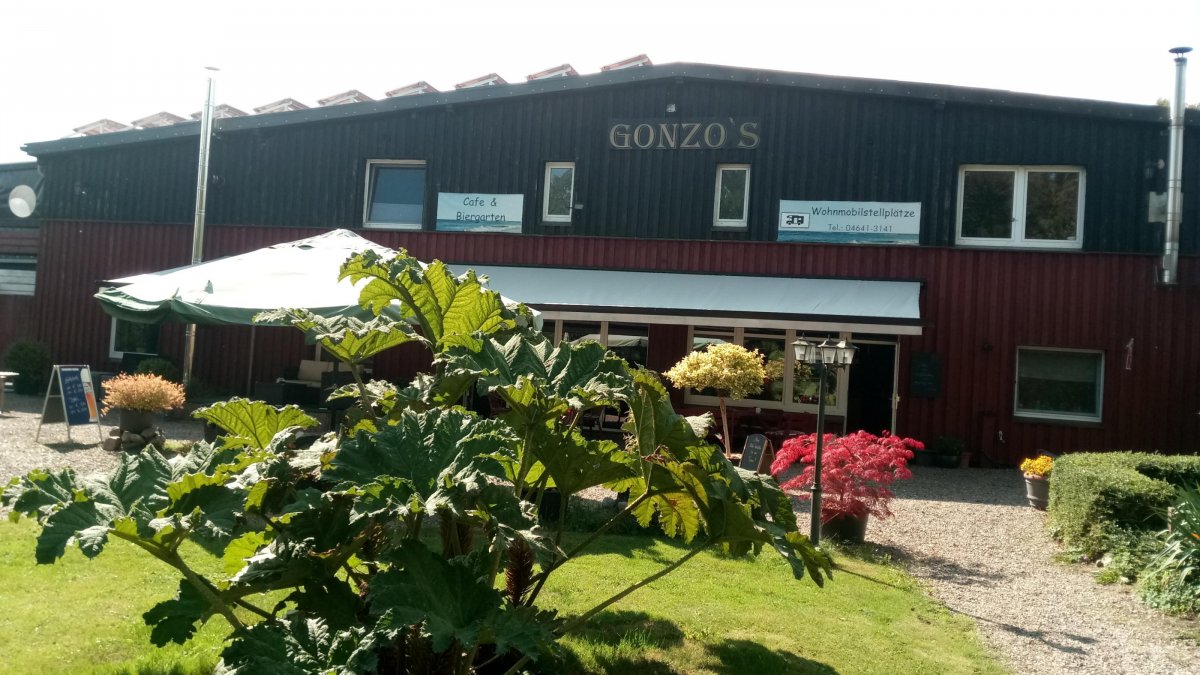 Schlei-Marina-Lindauhof — Photo 4