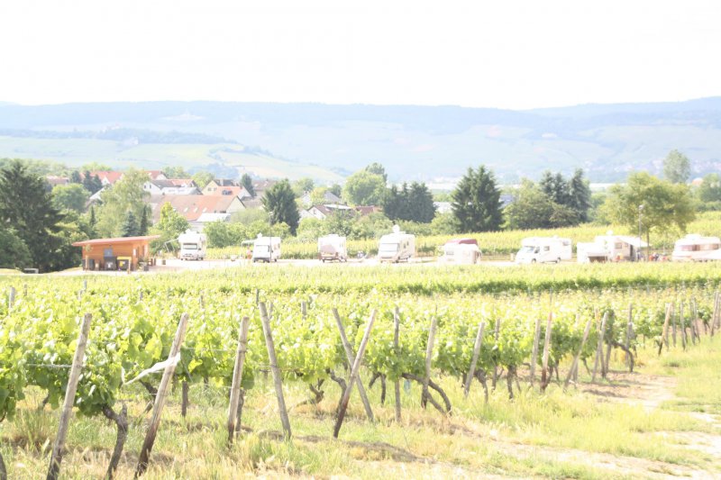 Metzis Panoramablick Ockenheim — Photo 3