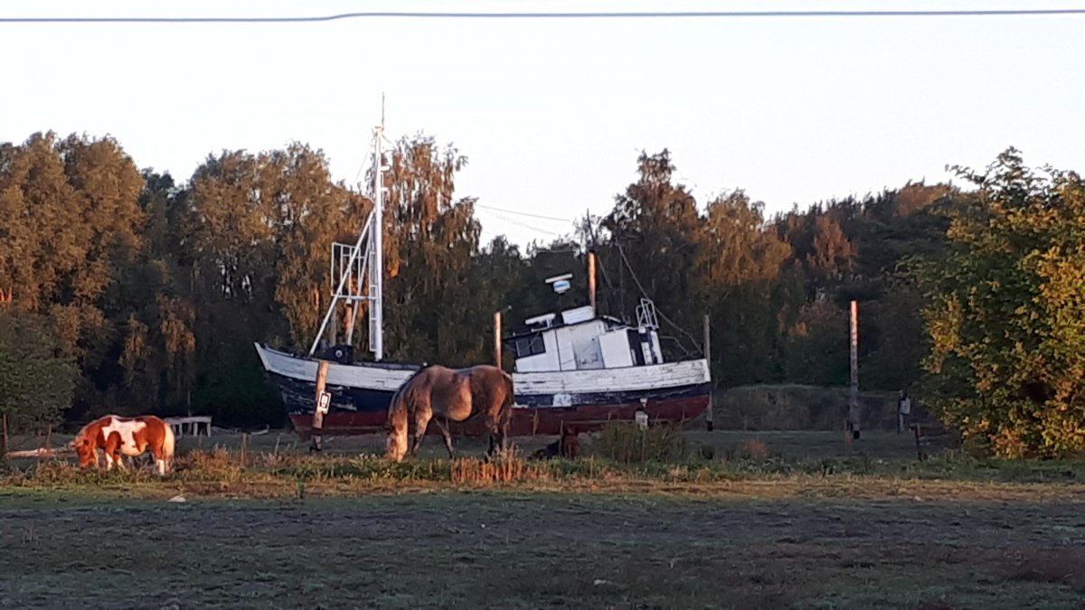 Halbinsel Peenemünde — Photo 4