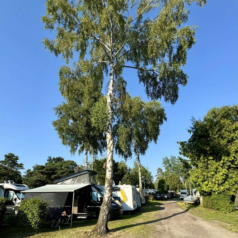 Campingplatz am Fischerstübchen Neustadt Mardorf — Photo 2