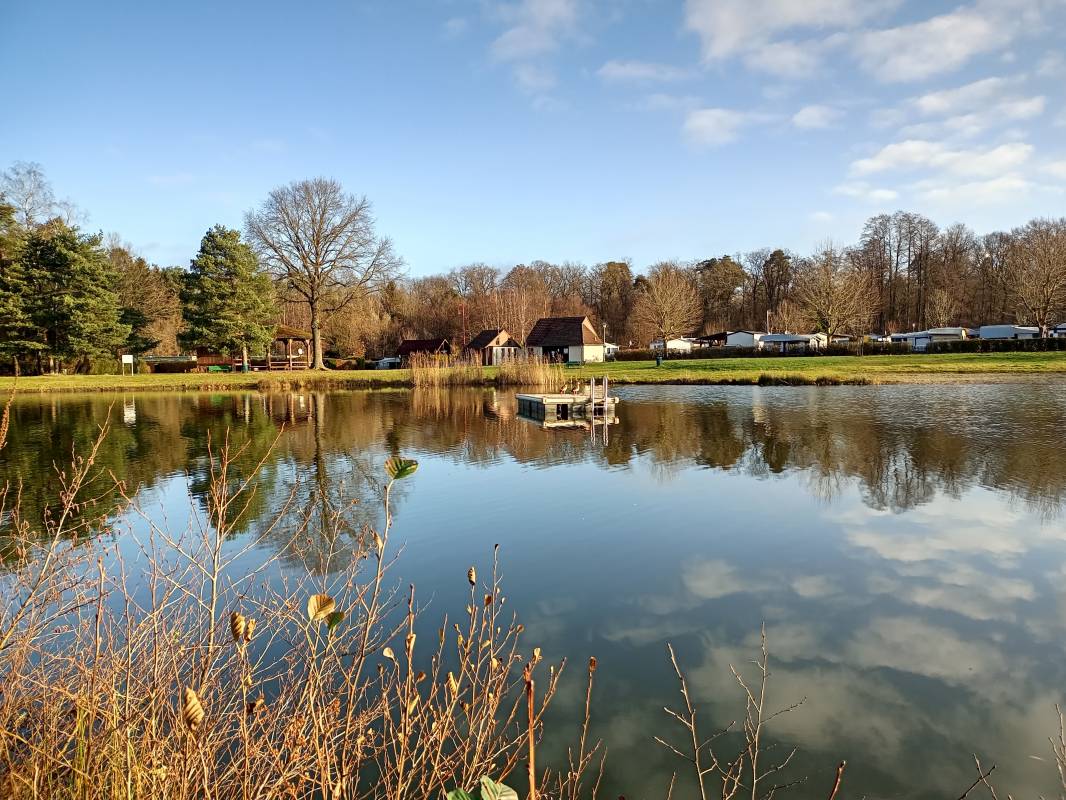 Centre de loisirs Les sapins ***
