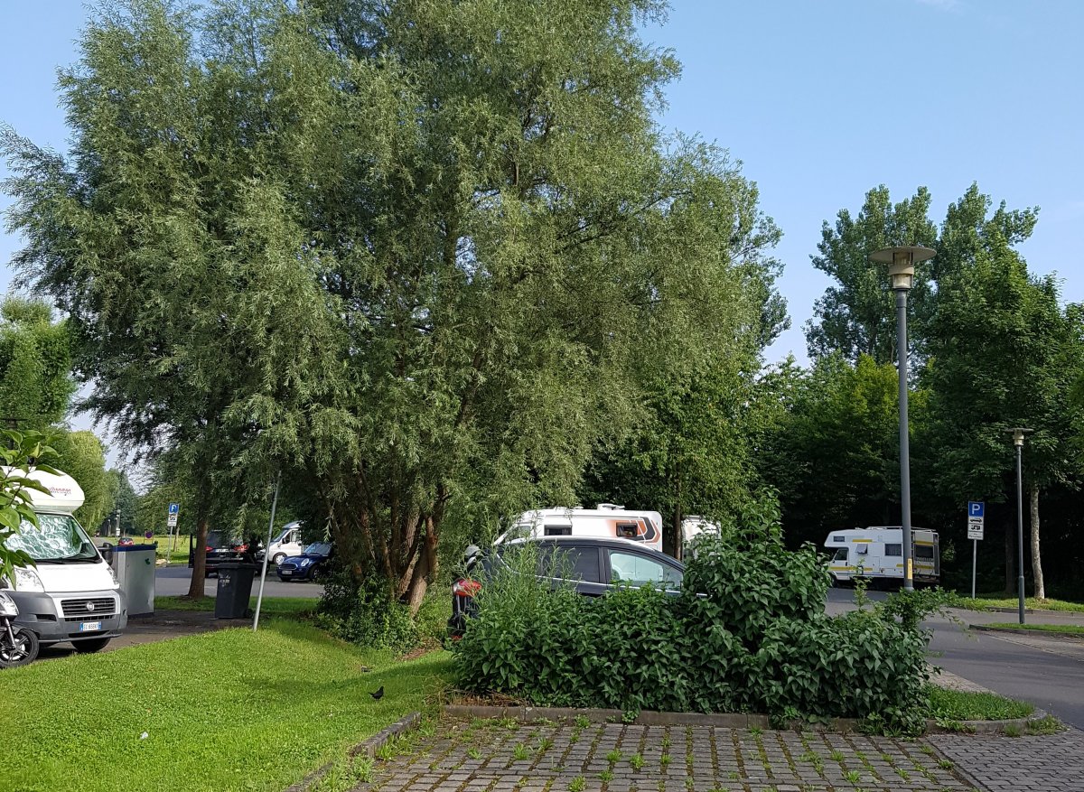 Stellplatz Fulda — Photo 2