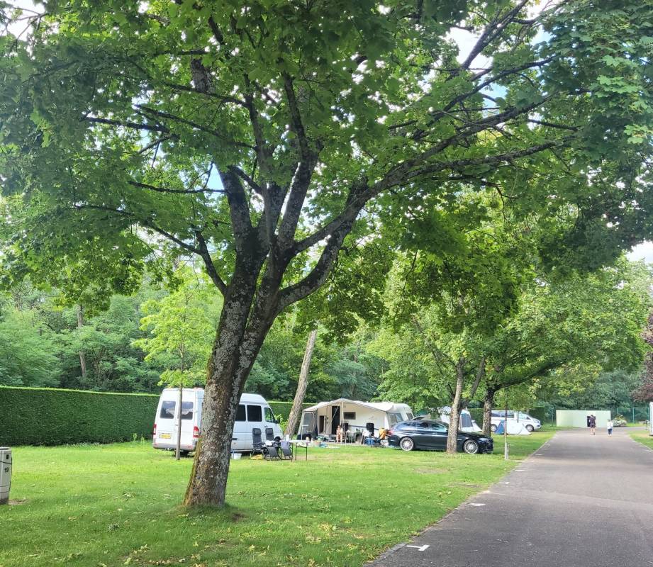 Camping Les Pins — Photo 4