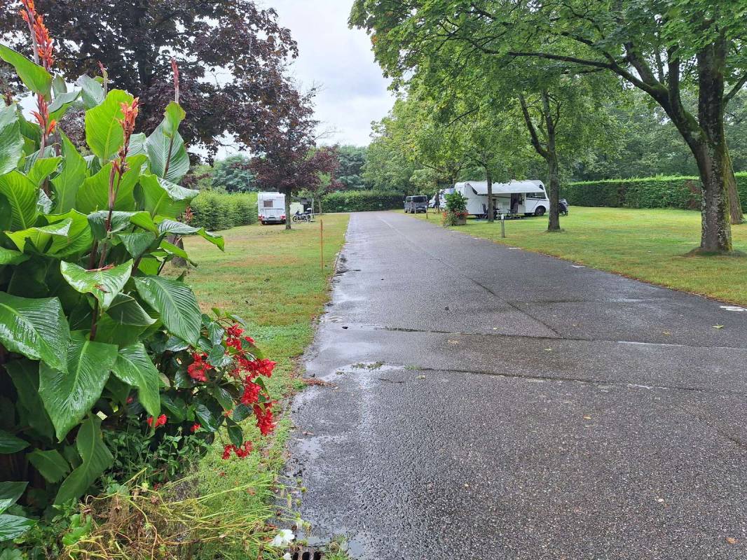 Camping Les Pins — Photo 5