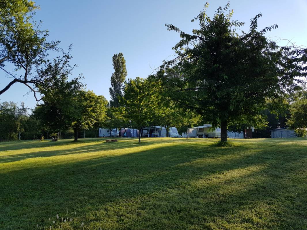 CGA Wasselonne - Centre Gymnique D'alsace