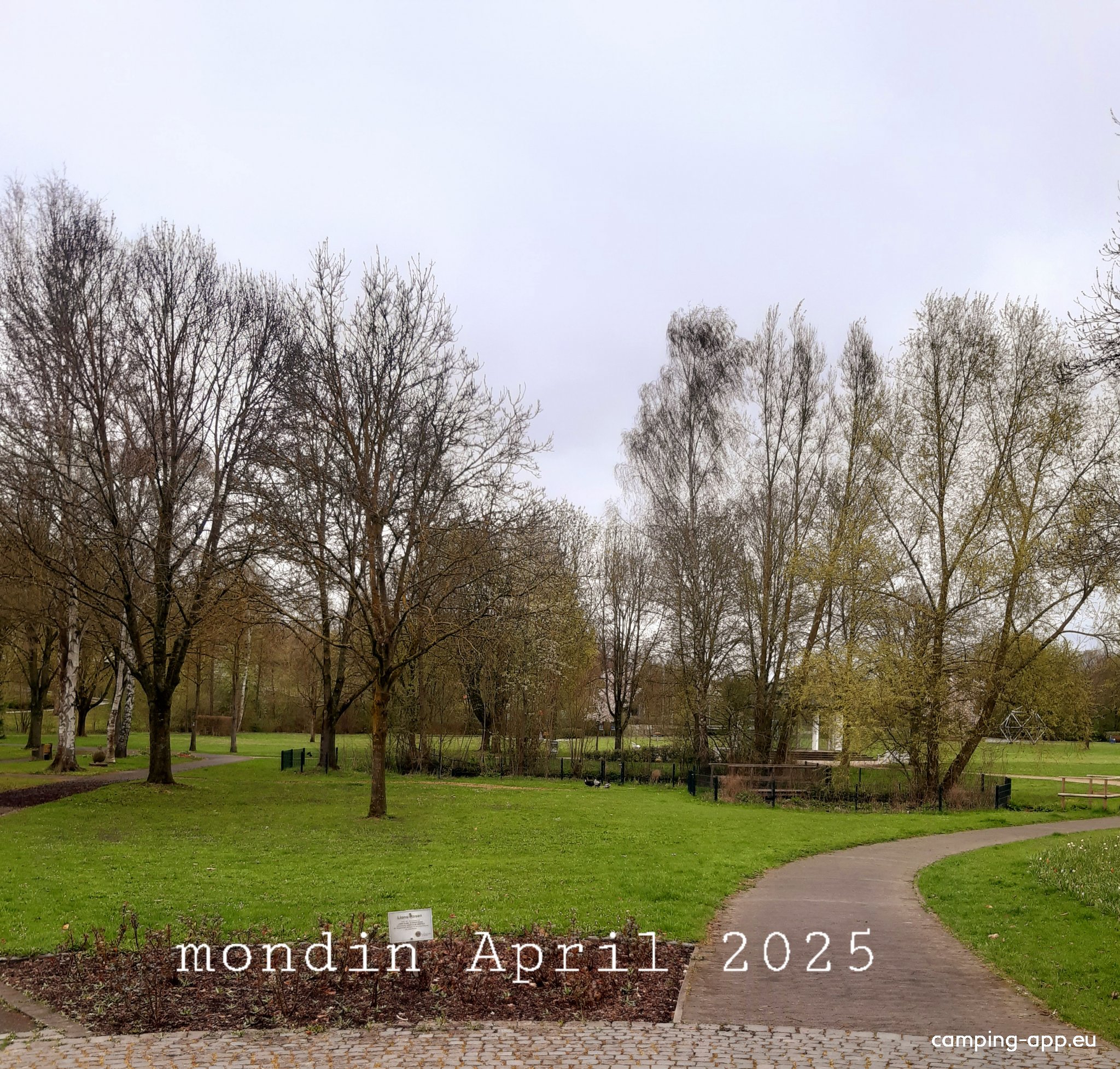 Stellplatz Hessisches Kegelspiel Hünfeld — Photo 4