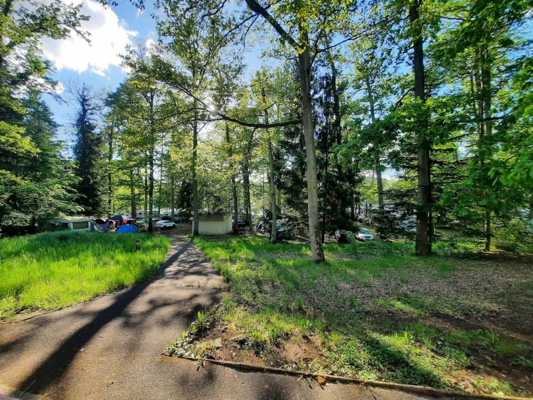 Camping Hanau Plage — Photo 3