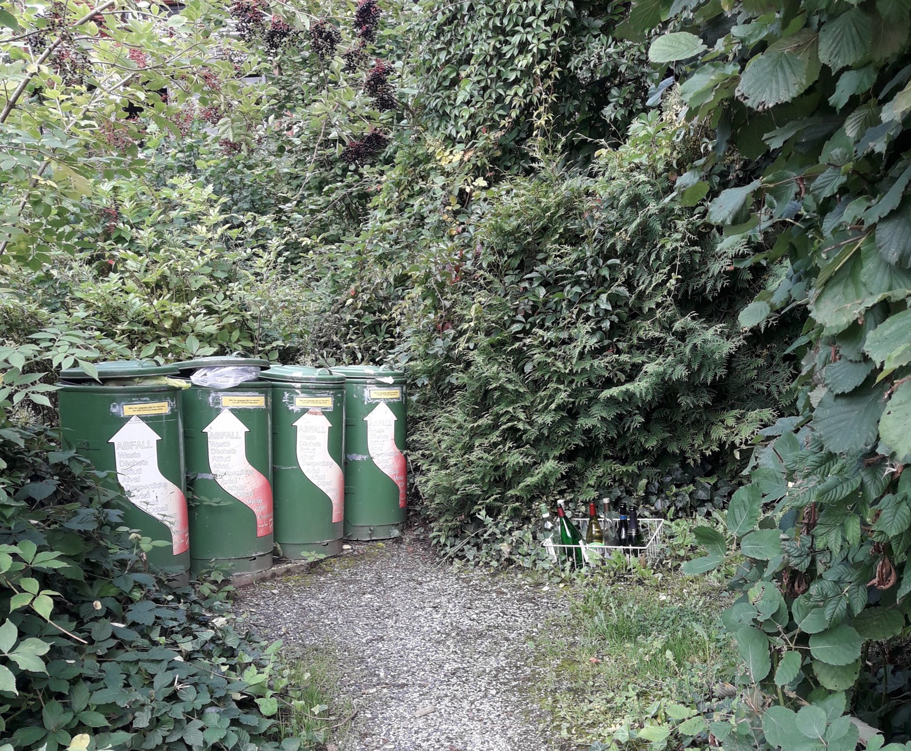 Stellplatz Rio Gande Bad Gandersheim — Photo 2