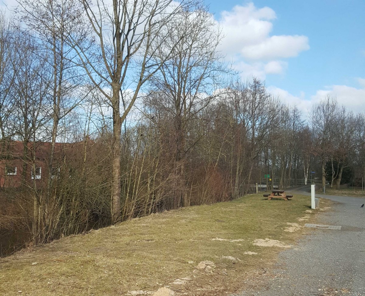 Stellplatz auf der Schöpwerksinsel Ihlienworth — Photo 3