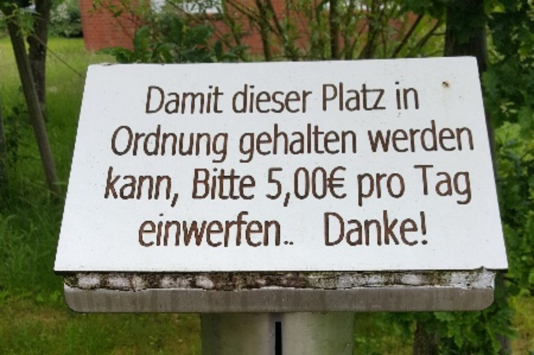 Stellplatz auf der Schöpwerksinsel Ihlienworth — Photo 5