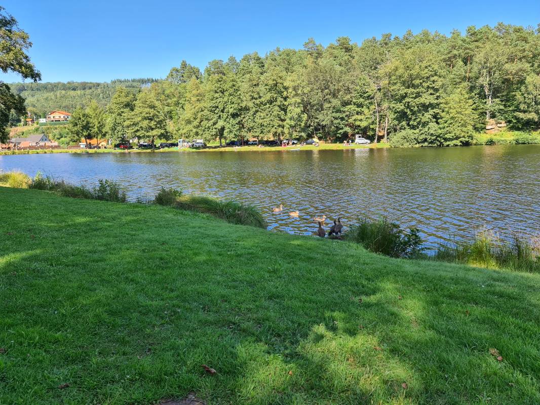 Bellevue — Photo 2