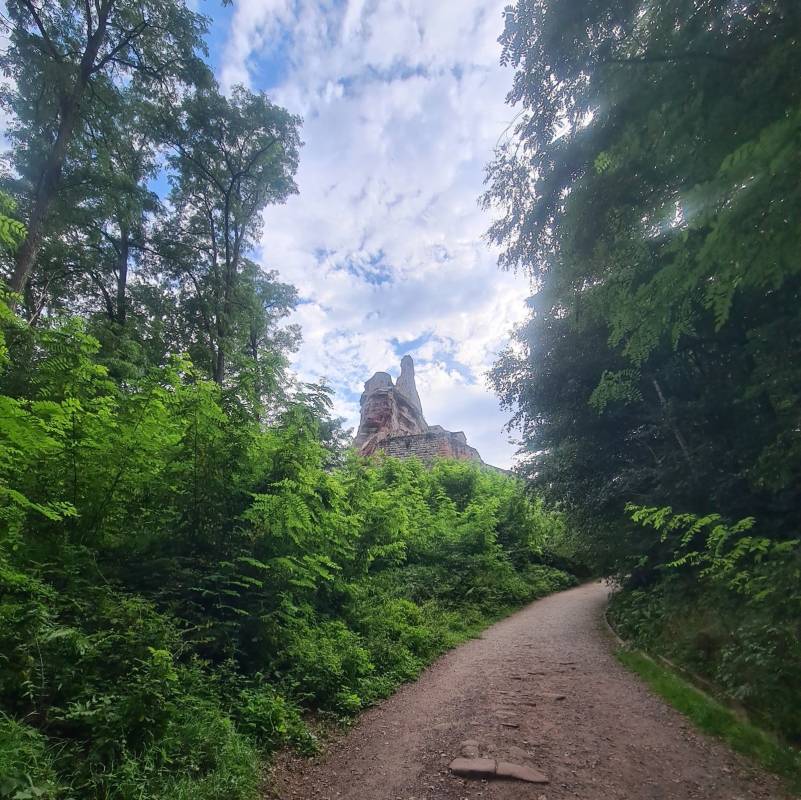 Camping du Fleckenstein — Photo 2