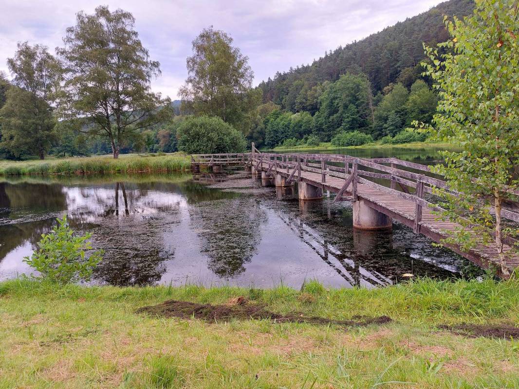 Camping du Fleckenstein — Photo 5