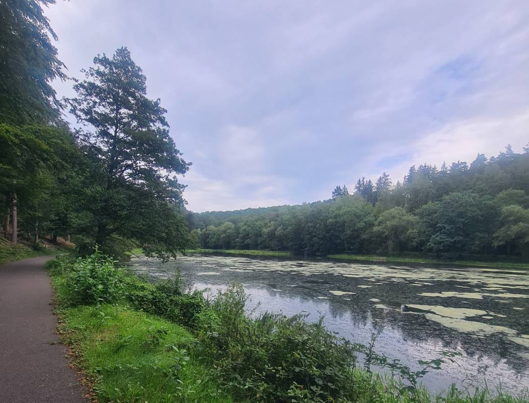 Camping du Fleckenstein — Photo 3