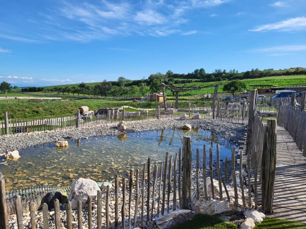 Hegau-Family-Camping — Photo 3