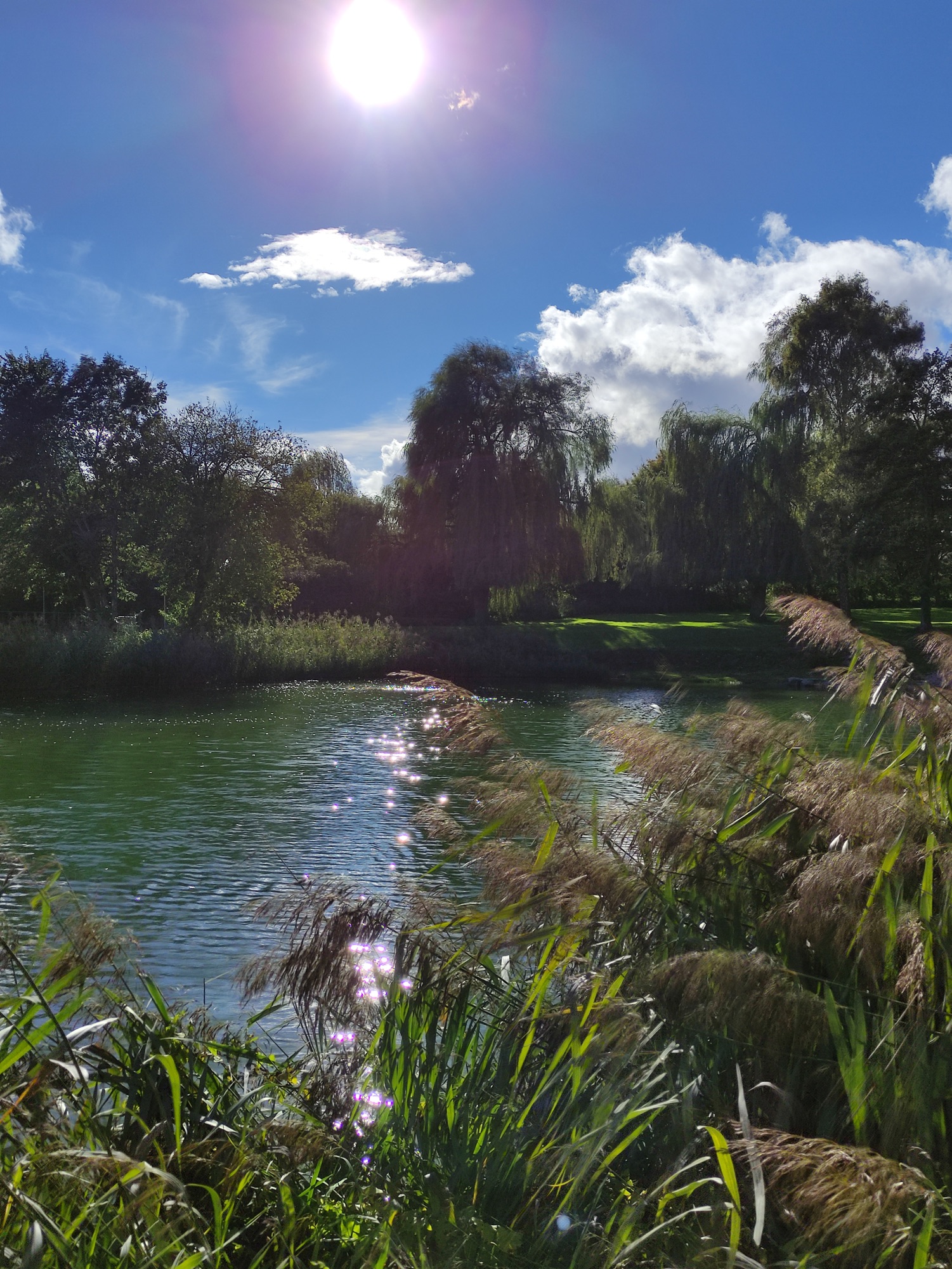 Hegau-Family-Camping