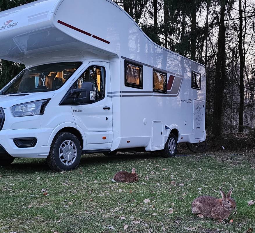 Campingpark Extertal — Photo 4