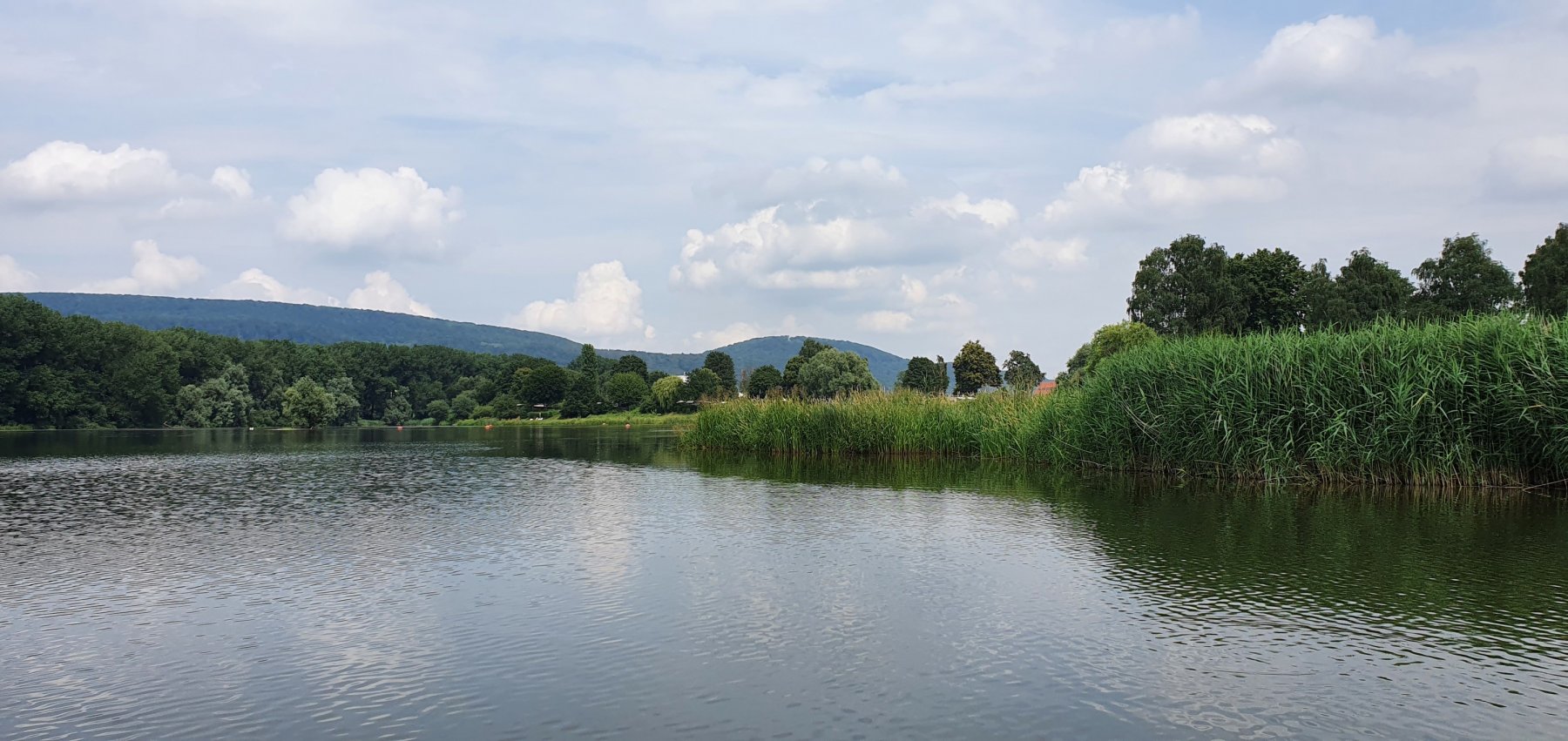 Erholungsgebiet Doktor-See GmbH — Photo 4