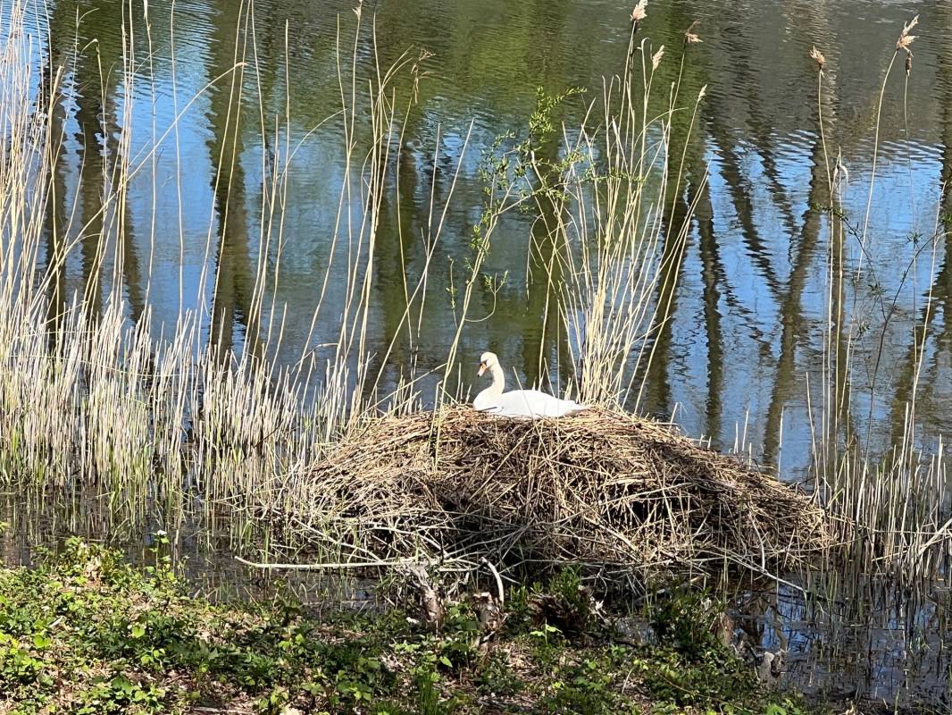 Erholungsgebiet Doktor-See GmbH — Photo 6