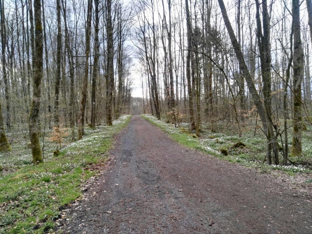 Camping Park Weiherhof — Photo 2