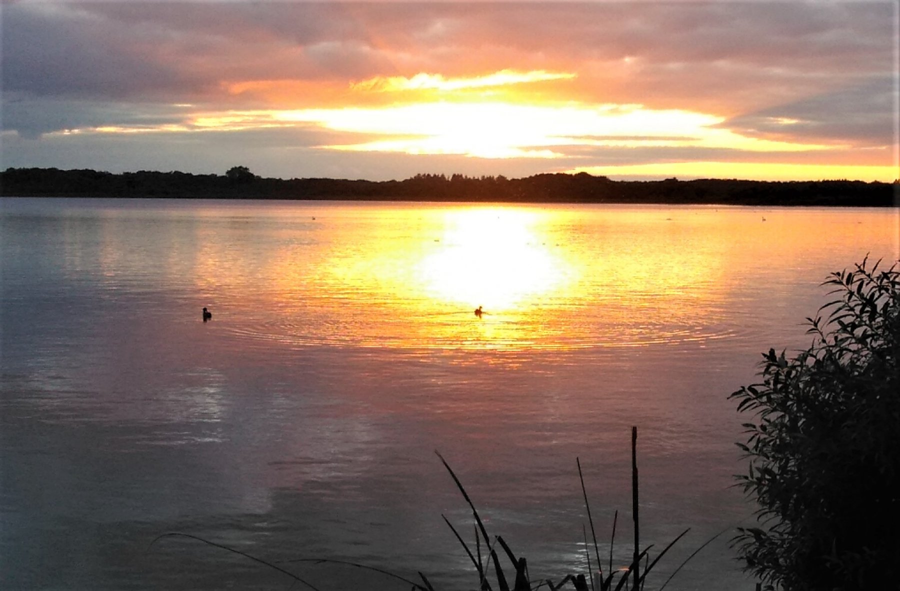 Camping am See Alt Schwerin — Photo 4