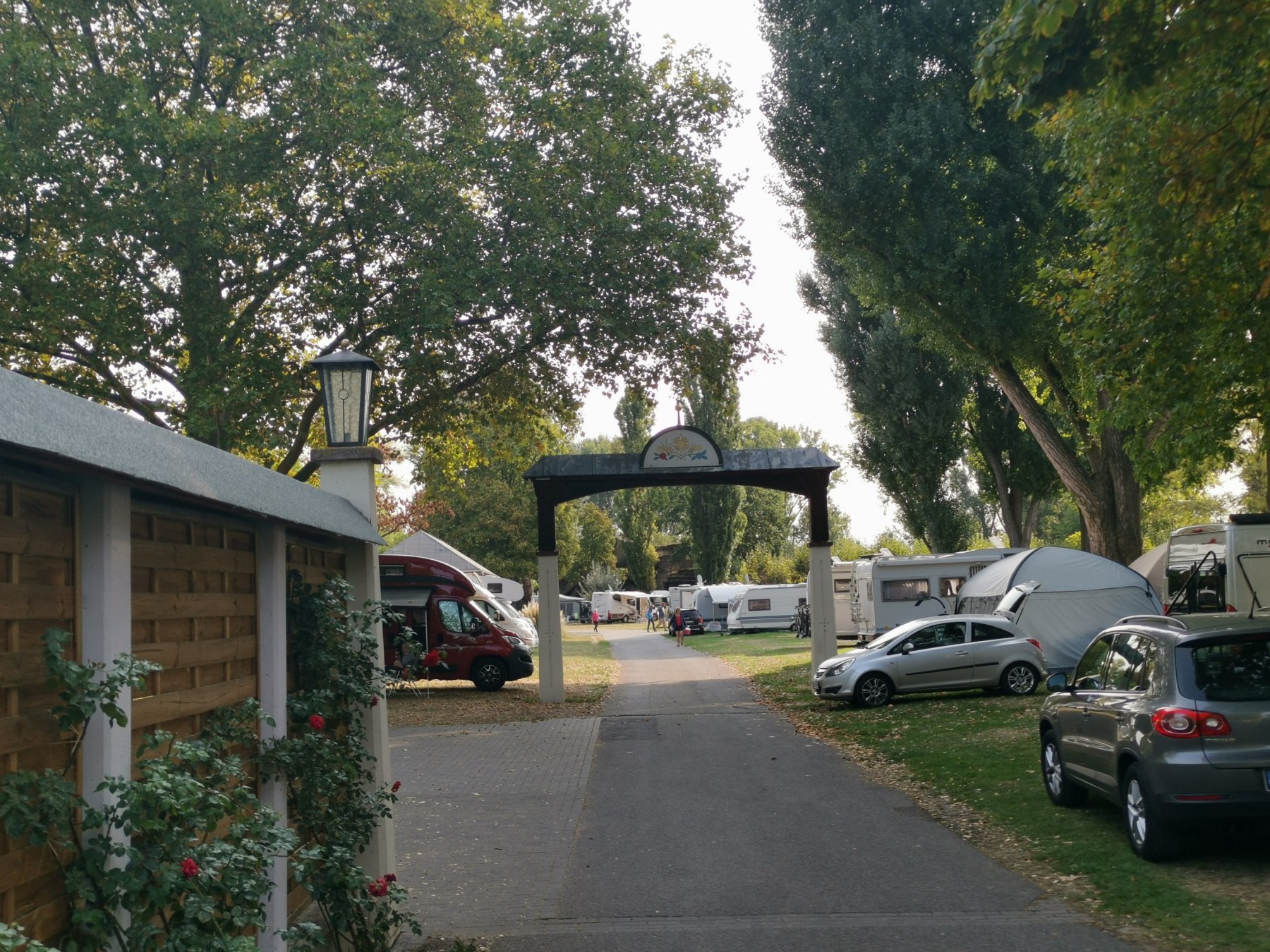 Campingplatz am Rhein — Photo 4